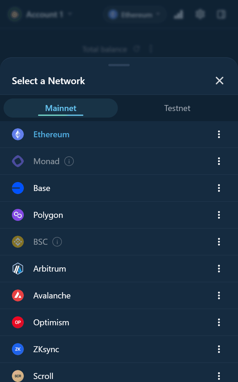 Network picker listing the supported EVM networks